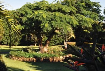 Peppertree Cottage - Accommodation Australia 10