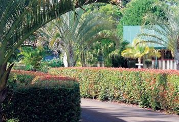 Peppertree Cottage - Accommodation Australia 21