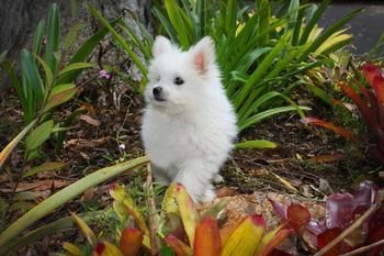 Mapleton Cabins & Caravan Park - Accommodation Australia 8