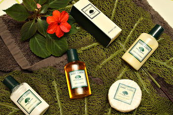 Mapleton Cabins & Caravan Park - Accommodation Australia 31