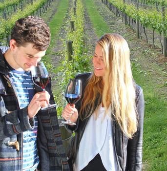 Valley Farm Vineyard Cottages - Local Tourism 0