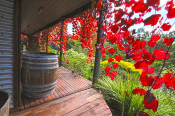 Valley Farm Vineyard Cottages - Local Tourism 5