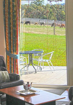 Valley Farm Vineyard Cottages - Local Tourism 9