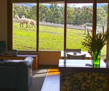 Valley Farm Vineyard Cottages - Local Tourism 17