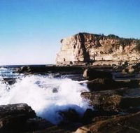 Terrigal Lagoon Bed and Breakfast - Local Tourism