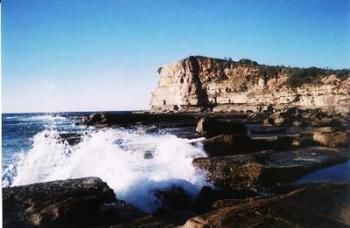 Terrigal Lagoon Bed And Breakfast - Local Tourism 0