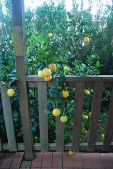 Highclaire House Bed And Breakfast - Accommodation Australia 28