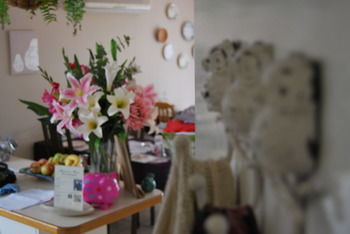 Highclaire House Bed And Breakfast - Accommodation Australia 32