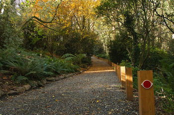 Santosa Cottage - Accommodation Australia 8