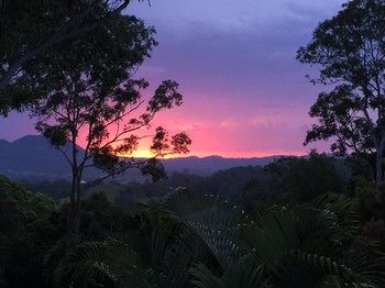 Phoenix Eumundi Bed & Breakfast - Accommodation Australia 17