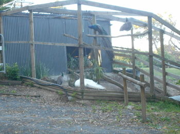 A Twist Of Willow - Accommodation Australia 20