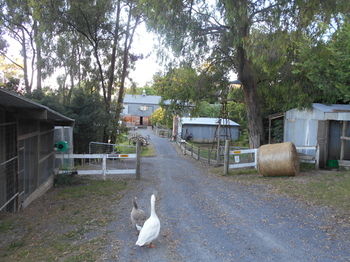 A Twist Of Willow - Accommodation Australia 21