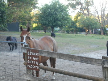 A Twist Of Willow - Accommodation Australia 26