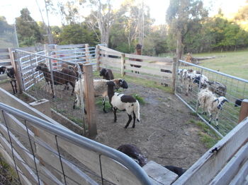 A Twist Of Willow - Accommodation Australia 27