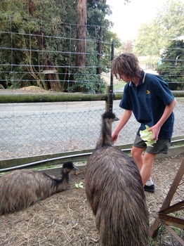A Twist Of Willow - Accommodation Australia 30