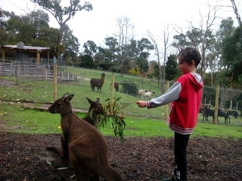 A Twist Of Willow - Accommodation Australia 32
