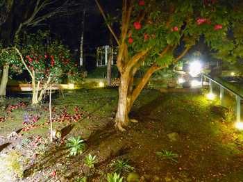 Aquila Nova Retreat - Bed n Breakfasts 43