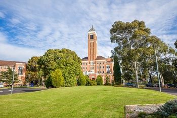 Ivy Units Glen Waverley - Australia Shopping 19
