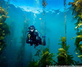 43 Degrees Bruny Island - Local Tourism 3