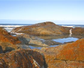 Saltwater Sunrise - Accommodation Australia 6