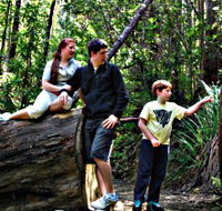 Tahune Airwalk Lodge - Local Tourism