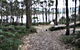 Camping At Bruny Island - thumb 1