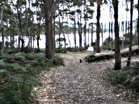 Camping At Bruny Island - Local Tourism 1
