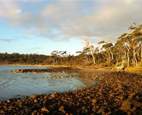 Bruny Island Experience - Local Tourism 4