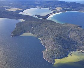 Bruny Island Experience - Local Tourism 5