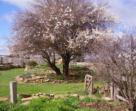 Lakeview Cottage - Accommodation Australia 3