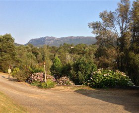 Rosebery Cabin And Tourist Park - Local Tourism 0