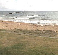 Penguin Caravan Park - Local Tourism