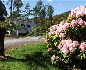 Zeehan Bush Camp  And Caravan Park - Accommodation Australia 0