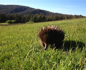 Silver Ridge Retreat - Local Tourism 1