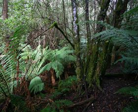 Silver Ridge Retreat - Local Tourism 4