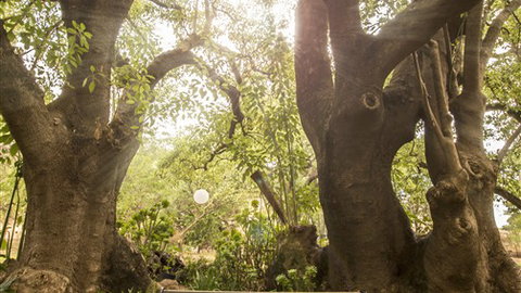 Trawool Cottages & Farmstay - Accommodation Australia 5