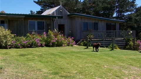 Clifton Beach Lodge - Local Tourism 0