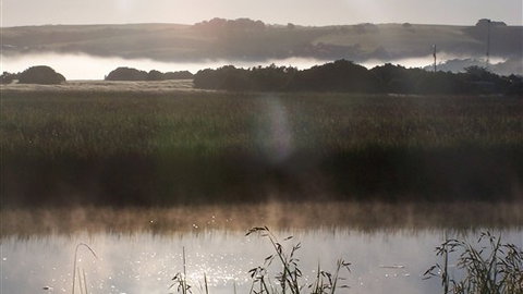 Clifton Beach Lodge - Local Tourism 4