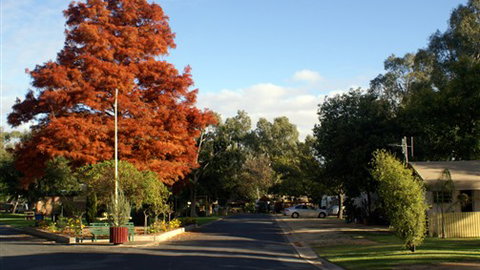 Numurkah Caravan Park - Accommodation Australia 6