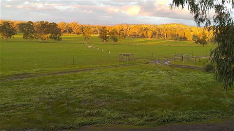 Rotherlea Lodge - Local Tourism 4