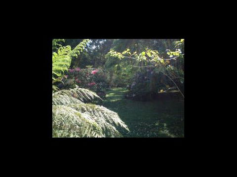 A Country House At Winstanley - Local Tourism 4