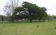 Auberge Woodend - thumb 3