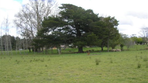 Auberge Woodend - Accommodation Australia 3
