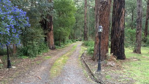 Wattle Tree Creek Cottages - Local Tourism 5