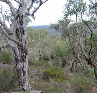 The Glen - Local Tourism
