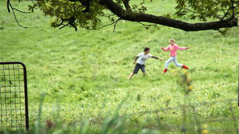 Tarndie - Local Tourism 5