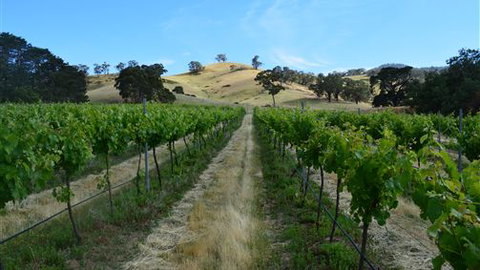 Blue House At Mountainside Wines - Accommodation Australia 1