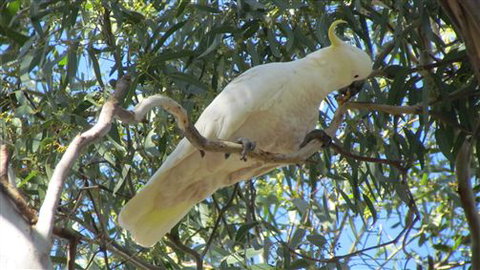 River Gardens Bed And Breakfast Farmstay - Accommodation Australia 1