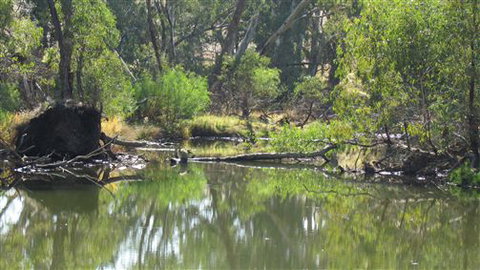 River Gardens Bed And Breakfast Farmstay - Accommodation Australia 2