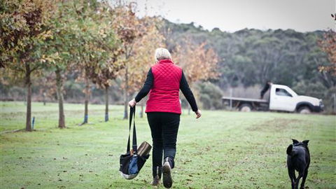 Black Cat Cottage - Accommodation Australia 0